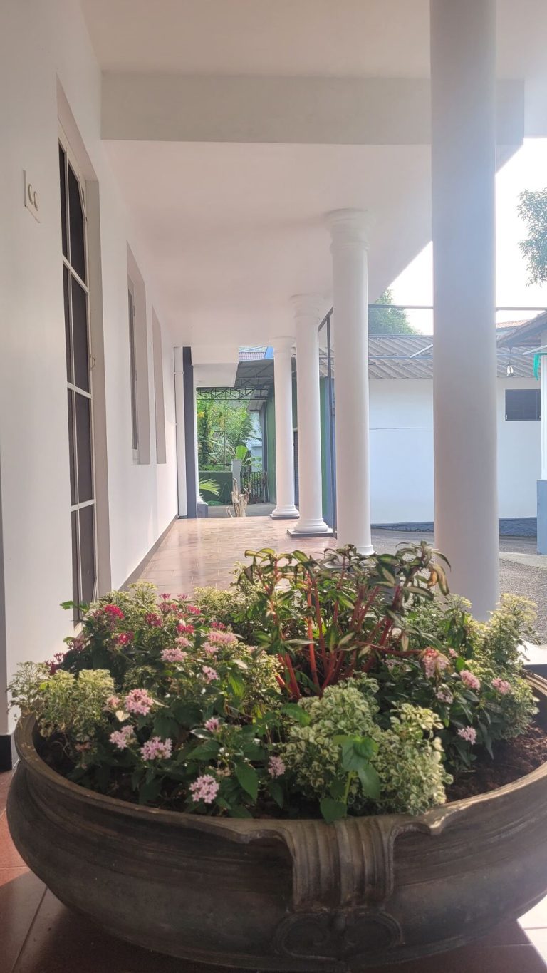 Maya Aangan Exterior – IMG-20241118-WA0047