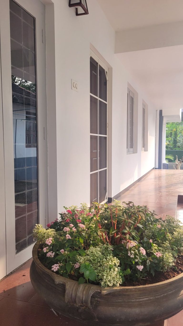 Maya Aangan Exterior – IMG-20241118-WA0049