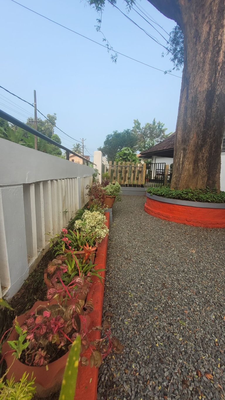 Maya Aangan Exterior – IMG-20241118-WA0052