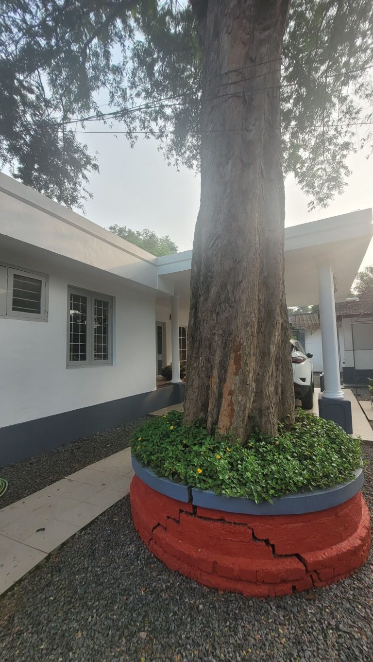 Maya Aangan Exterior – IMG-20241118-WA0053